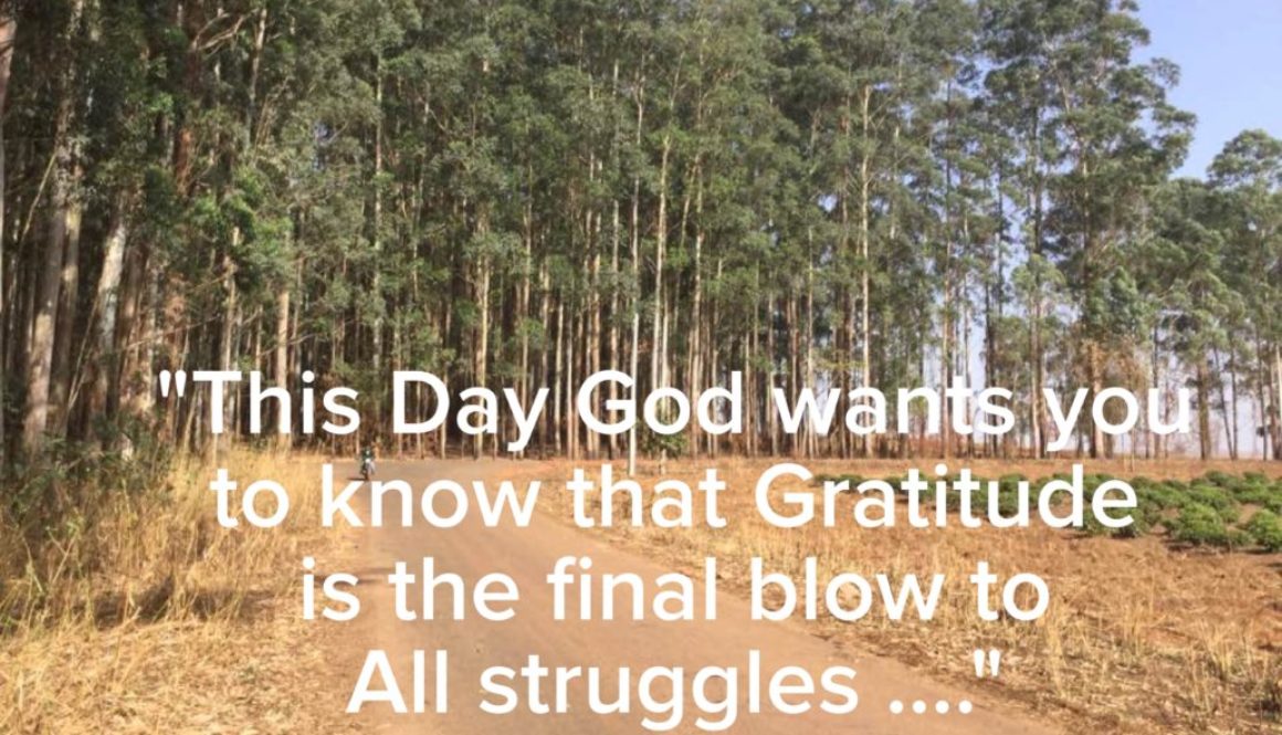 Gratitude ends all Struggles 