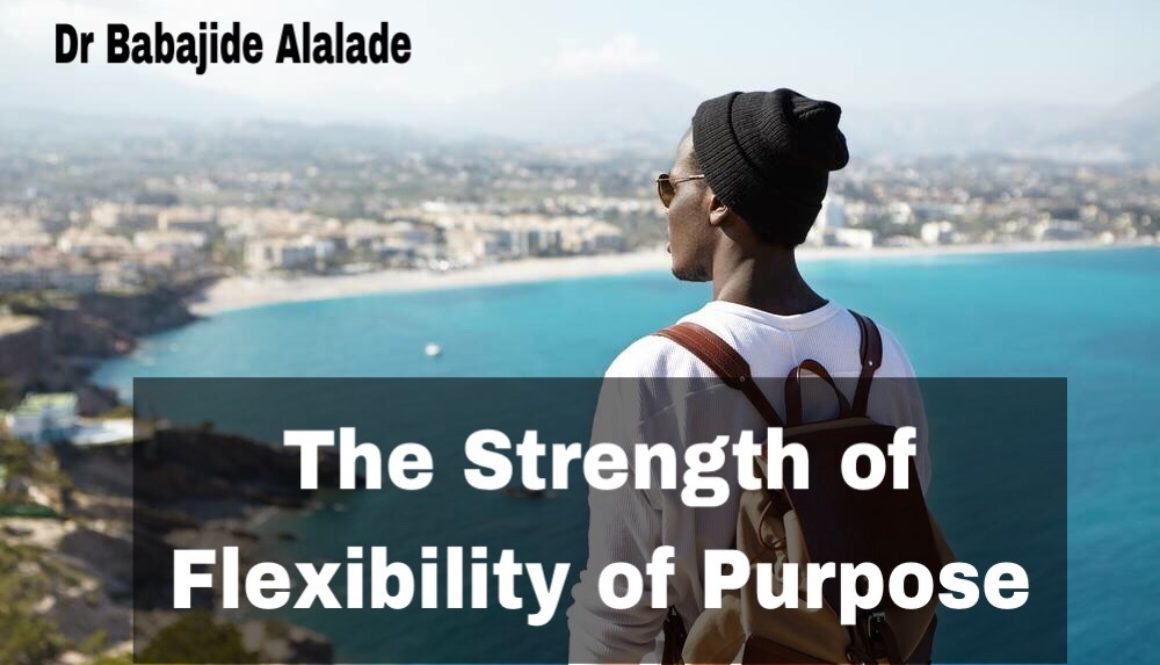 The Strength of Flexibility of Purpose